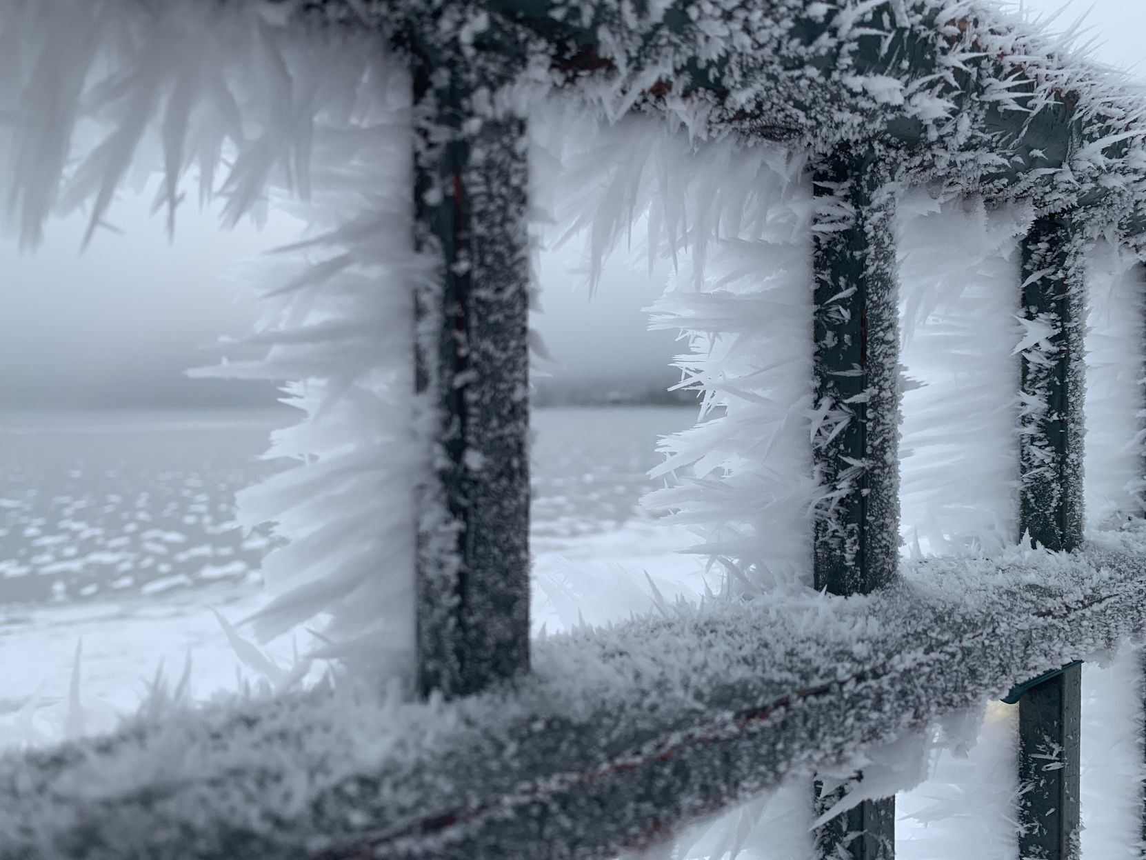 The ice crystals can be seen on the rails of the fence overlooking Riviera Beach